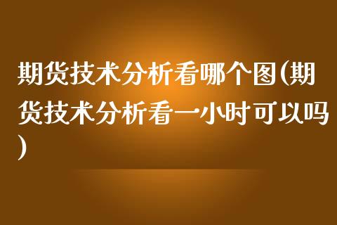 期货技术分析看哪个图(期货技术分析看一小时可以吗)_https://gjqh.wpmee.com_期货平台_第1张