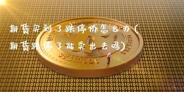 期货买到了跌停价怎么办(期货跌停了能卖出去吗)_https://gjqh.wpmee.com_期货开户_第1张