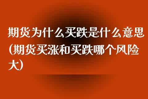 期货为什么买跌是什么意思(期货买涨和买跌哪个风险大)_https://gjqh.wpmee.com_期货开户_第1张