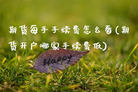 期货每手手续费怎么看(期货开户哪家手续费低)_https://gjqh.wpmee.com_期货平台_第1张