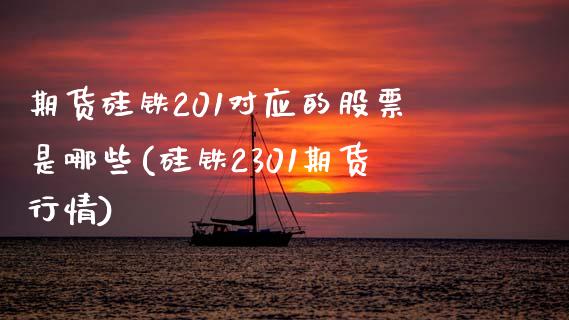 期货硅铁201对应的股票是哪些(硅铁2301期货行情)_https://gjqh.wpmee.com_期货平台_第1张