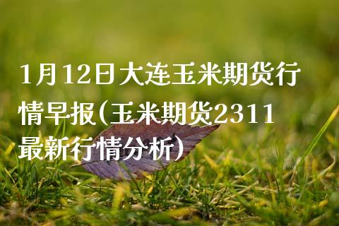 1月12日大连玉米期货行情早报(玉米期货2311最新行情分析)_https://gjqh.wpmee.com_期货百科_第1张