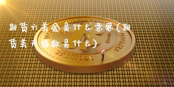 期货六美金是什么意思(期货美元指数是什么)_https://gjqh.wpmee.com_国际期货_第1张