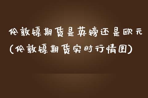 伦敦镍期货是英镑还是欧元(伦敦镍期货实时行情图)_https://gjqh.wpmee.com_期货百科_第1张