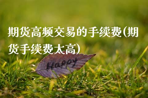 期货高频交易的手续费(期货手续费太高)_https://gjqh.wpmee.com_期货平台_第1张