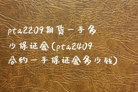 pta2209期货一手多少保证金(pta2409合约一手保证金多少钱)_https://gjqh.wpmee.com_期货百科_第1张