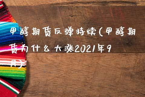 甲醇期货反弹持续(甲醇期货为什么大涨2021年9月)_https://gjqh.wpmee.com_期货平台_第1张