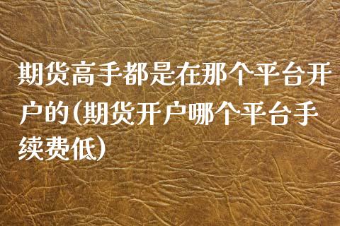 期货高手都是在那个平台开户的(期货开户哪个平台手续费低)_https://gjqh.wpmee.com_国际期货_第1张