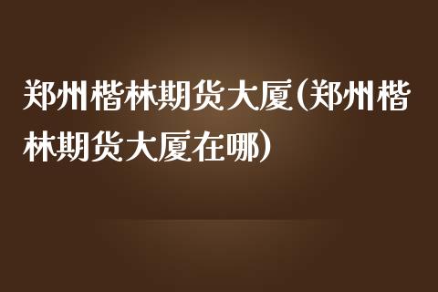 郑州楷林期货大厦(郑州楷林期货大厦在哪)_https://gjqh.wpmee.com_国际期货_第1张