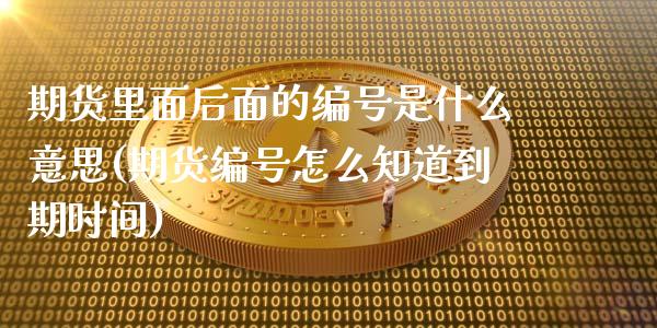 期货里面后面的编号是什么意思(期货编号怎么知道到期时间)_https://gjqh.wpmee.com_国际期货_第1张