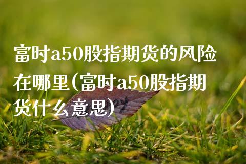 富时a50股指期货的风险在哪里(富时a50股指期货什么意思)_https://gjqh.wpmee.com_期货新闻_第1张