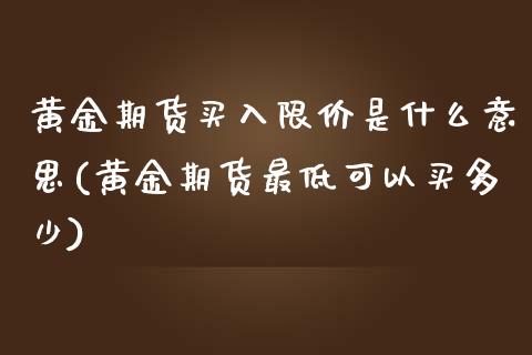 黄金期货买入限价是什么意思(黄金期货最低可以买多少)_https://gjqh.wpmee.com_期货开户_第1张