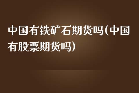 中国有铁矿石期货吗(中国有股票期货吗)_https://gjqh.wpmee.com_期货平台_第1张