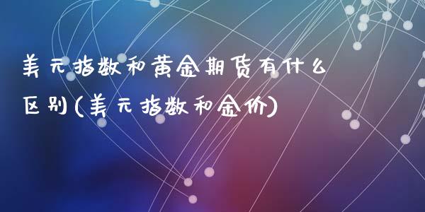 美元指数和黄金期货有什么区别(美元指数和金价)_https://gjqh.wpmee.com_期货百科_第1张