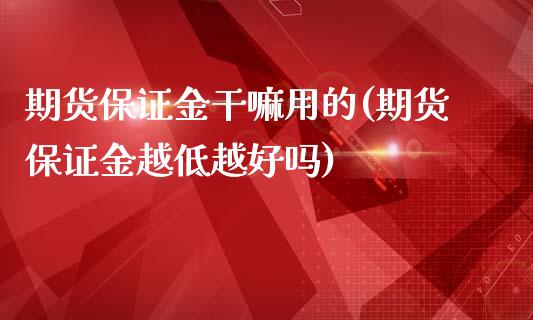 期货保证金干嘛用的(期货保证金越低越好吗)_https://gjqh.wpmee.com_期货平台_第1张