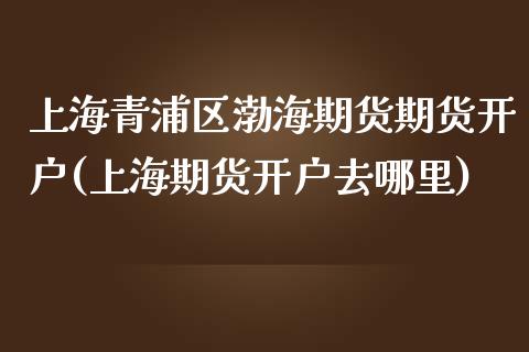 上海青浦区渤海期货期货开户(上海期货开户去哪里)_https://gjqh.wpmee.com_期货百科_第1张