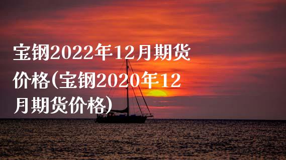 宝钢2022年12月期货价格(宝钢2020年12月期货价格)_https://gjqh.wpmee.com_期货百科_第1张