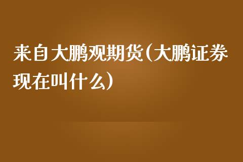 来自大鹏观期货(大鹏证券现在叫什么)_https://gjqh.wpmee.com_期货平台_第1张