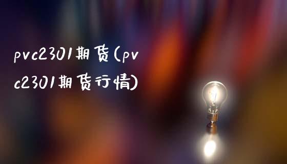 pvc2301期货(pvc2301期货行情)_https://gjqh.wpmee.com_期货平台_第1张