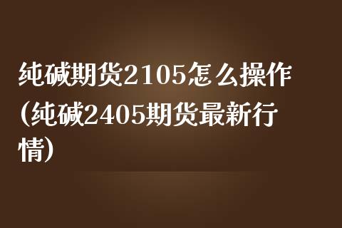 纯碱期货2105怎么操作(纯碱2405期货最新行情)_https://gjqh.wpmee.com_国际期货_第1张