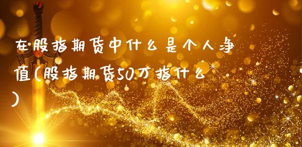 在股指期货中什么是个人净值(股指期货50万指什么)_https://gjqh.wpmee.com_期货平台_第1张