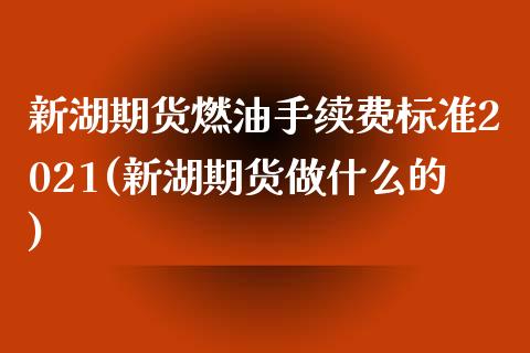 新湖期货燃油手续费标准2021(新湖期货做什么的)_https://gjqh.wpmee.com_国际期货_第1张