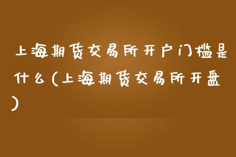 上海期货交易所开户门槛是什么(上海期货交易所开盘)_https://gjqh.wpmee.com_期货百科_第1张