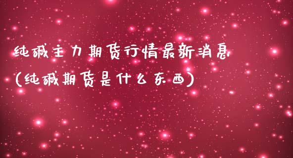 纯碱主力期货行情最新消息(纯碱期货是什么东西)_https://gjqh.wpmee.com_期货开户_第1张