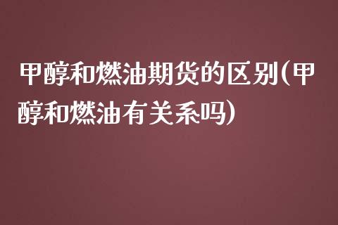 甲醇和燃油期货的区别(甲醇和燃油有关系吗)_https://gjqh.wpmee.com_期货平台_第1张