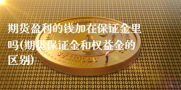 期货盈利的钱加在保证金里吗(期货保证金和权益金的区别)_https://gjqh.wpmee.com_期货新闻_第1张