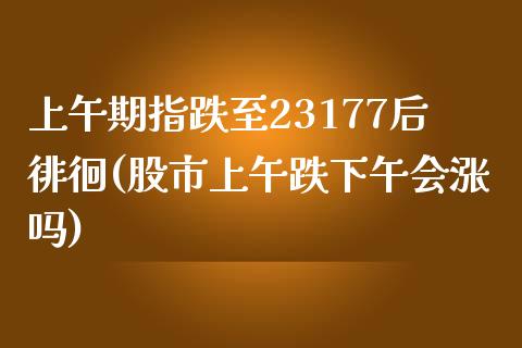 上午期指跌至23177后徘徊(股市上午跌下午会涨吗)_https://gjqh.wpmee.com_期货平台_第1张