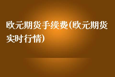 欧元期货手续费(欧元期货实时行情)_https://gjqh.wpmee.com_期货新闻_第1张