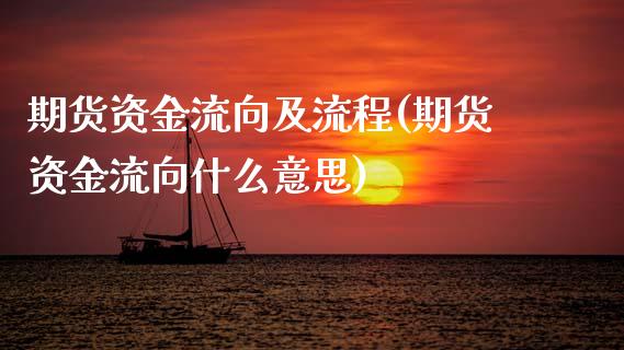 期货资金流向及流程(期货资金流向什么意思)_https://gjqh.wpmee.com_期货平台_第1张