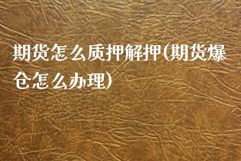 期货怎么质押解押(期货爆仓怎么办理)_https://gjqh.wpmee.com_期货平台_第1张