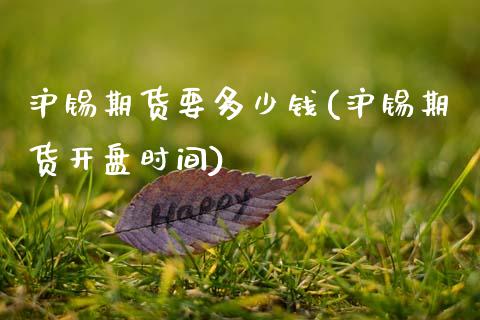 沪锡期货要多少钱(沪锡期货开盘时间)_https://gjqh.wpmee.com_期货平台_第1张