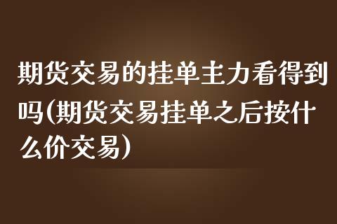 期货交易的挂单主力看得到吗(期货交易挂单之后按什么价交易)_https://gjqh.wpmee.com_期货平台_第1张