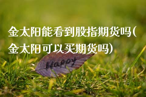 金太阳能看到股指期货吗(金太阳可以买期货吗)_https://gjqh.wpmee.com_期货平台_第1张