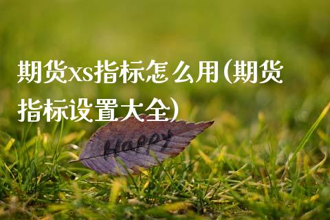 期货xs指标怎么用(期货指标设置大全)_https://gjqh.wpmee.com_期货新闻_第1张