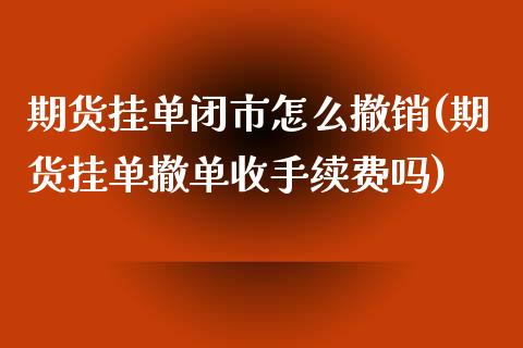 期货挂单闭市怎么撤销(期货挂单撤单收手续费吗)_https://gjqh.wpmee.com_期货开户_第1张