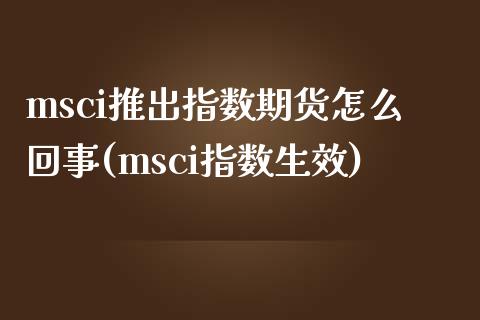 msci推出指数期货怎么回事(msci指数生效)_https://gjqh.wpmee.com_期货平台_第1张