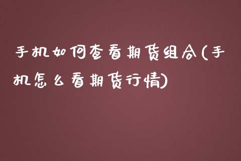 手机如何查看期货组合(手机怎么看期货行情)_https://gjqh.wpmee.com_期货新闻_第1张