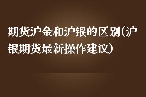 期货沪金和沪银的区别(沪银期货最新操作建议)_https://gjqh.wpmee.com_国际期货_第1张