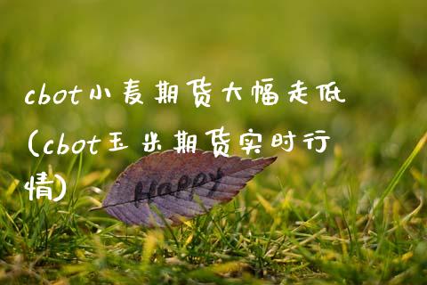 cbot小麦期货大幅走低(cbot玉米期货实时行情)_https://gjqh.wpmee.com_期货新闻_第1张