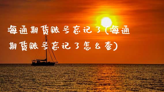 海通期货账号忘记了(海通期货账号忘记了怎么查)_https://gjqh.wpmee.com_国际期货_第1张