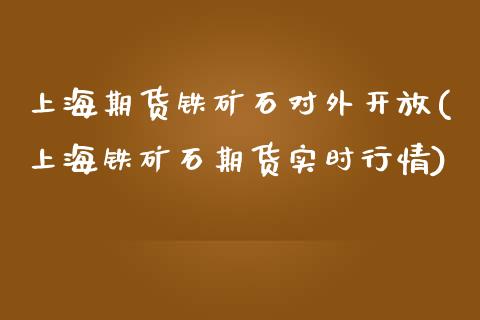 上海期货铁矿石对外开放(上海铁矿石期货实时行情)_https://gjqh.wpmee.com_期货开户_第1张