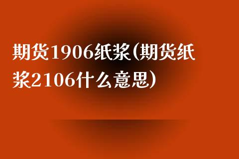 期货1906纸浆(期货纸浆2106什么意思)_https://gjqh.wpmee.com_期货百科_第1张