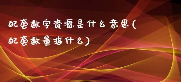 配套数字资源是什么意思(配套数量指什么)_https://gjqh.wpmee.com_期货百科_第1张