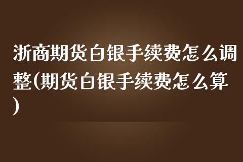 浙商期货白银手续费怎么调整(期货白银手续费怎么算)_https://gjqh.wpmee.com_期货平台_第1张