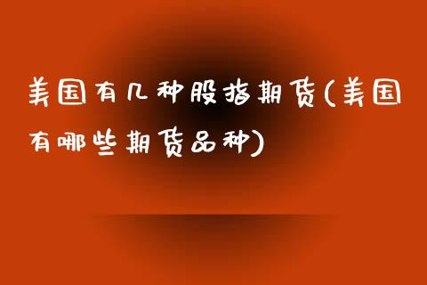 美国有几种股指期货(美国有哪些期货品种)_https://gjqh.wpmee.com_期货平台_第1张