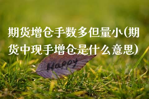 期货增仓手数多但量小(期货中现手增仓是什么意思)_https://gjqh.wpmee.com_期货开户_第1张